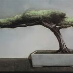 自然的界限-盆景9  布面油画  150×200cm   2011