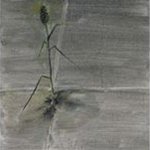 Yang Liu  2008,Fei Jia Cuun,Summer-Grass in Front of the Door  Oil on Canvas  30x30cmx5 2008