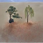 Yang Liu   Two Trees   Oil on Canvas  70x90cm  2008