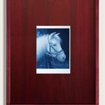 Andrew Sendor Portrait of Bhaya on the southwest  wall of Saturday's bedroom oil on matte white plexiglas stained walnut Purple Heart wood frame 44.45x36.20cm 2017 