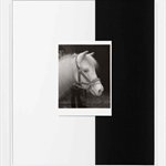 周六卧室墙上东北方向的Bhaya肖像 哑光白色有机玻璃油画 哑光黑色有机玻璃、白色粉末镀铝框  43.81x35.56cm 2017