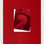 Saturday at 39 weeks pregnant on the twenty-sixth of February.  oil on matte white Plexiglas, red glossy Plexiglas in white powder coated aluminum frame  18 x 14 inches  2018